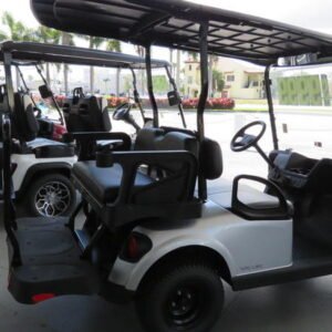 2024 e z go valor ex1 gas ptv | platinum finish | independent suspension | unlimited range sale!