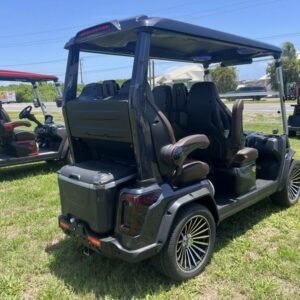 2025 evolution d max gt4 arctic gray | 4 seater with 24 speaker sound