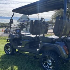 2025 evolution d5 maverick 4 plus arctic gray | cart with carplay