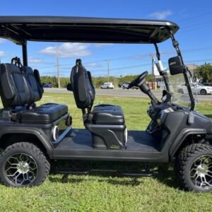 2025 evolution d5 maverick 4 plus arctic gray | cart with carplay