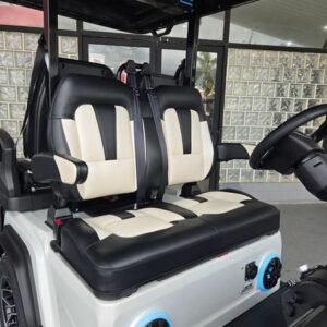 2025 evolution d5 ranger 2+2 plus arctic gray | cart with carplay