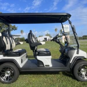 2025 evolution d5 ranger 4 pearl white | forward facing 4 seater cart