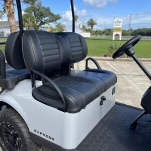 2025 e z go express 4 gas ptv | special edition stardust | unlimited range family cruiser!