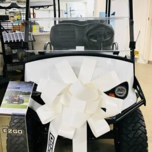 2025 e z go liberty elite lithium ptv | bright white | 4 forward facing seats sale!
