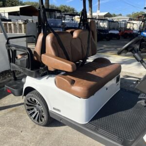 2026 e z go freedom rxv elite lithium | bright white touring pkg | zero maintenance power!