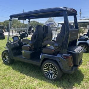2025 evolution d max gt4 arctic gray | 4 seater with 24 speaker sound