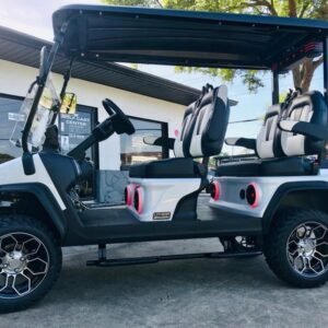2025 evolution d5 maverick 4 plus pearl white | cart with carplay